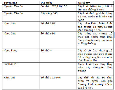 Công ty cây xanh để “bẫy chết người” lơ lửng trên đầu người dân